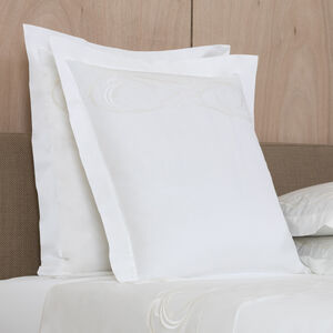 slide 2 Paisley Embroidery Euro Sham