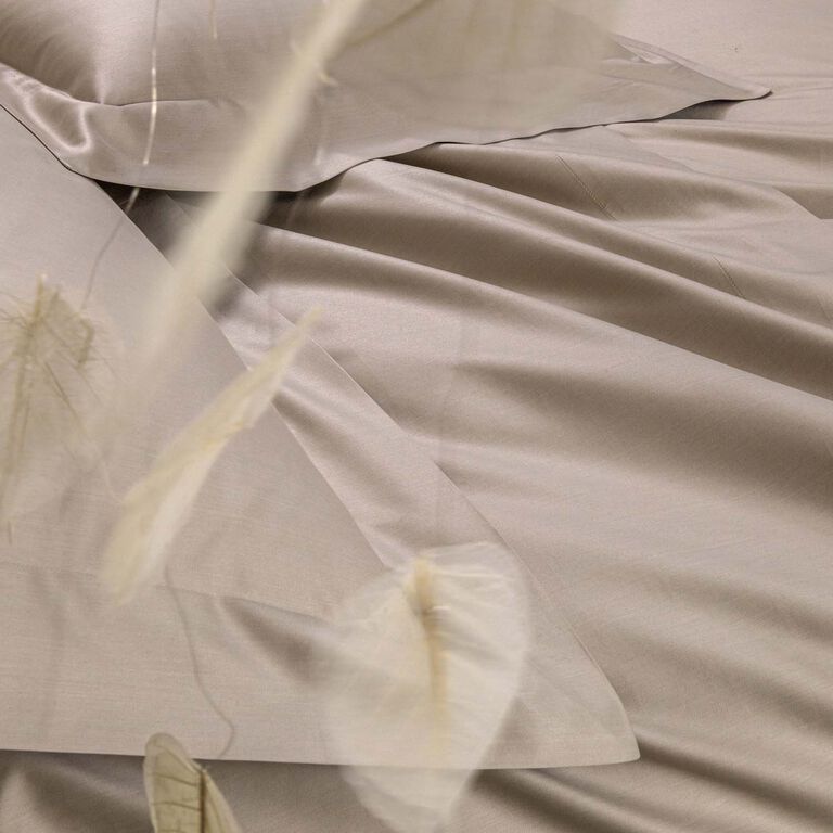 slide 5 Naturalismo Sheet Set