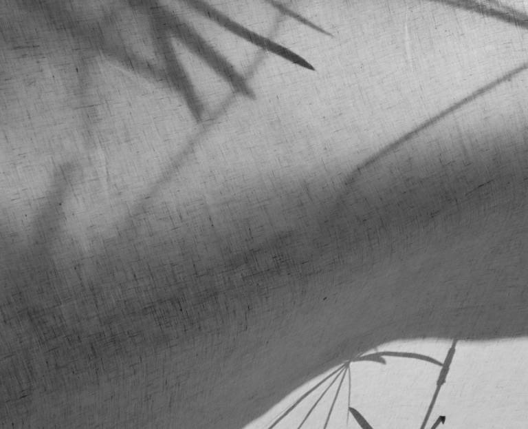 Divine Linen